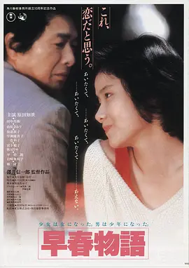 雾港谜航 高清电影免费在线观看